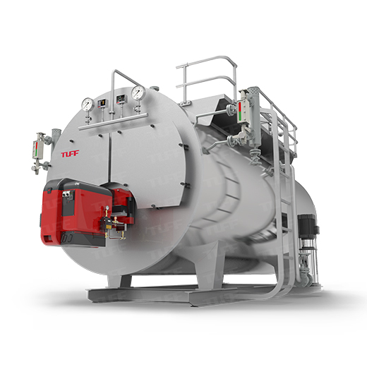 WNS Gas/Oil Fired Steam/Hot Water Boiler