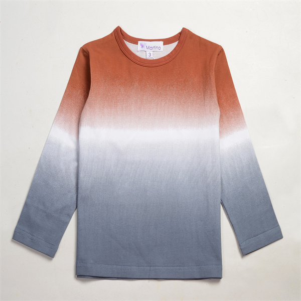 gradient round neck long sleeve t-shirt