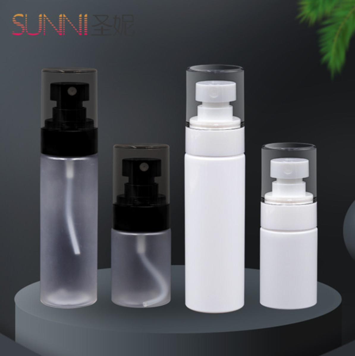 30ml 60ml Cosmetic Bottle with Fine Mist Spray Pump