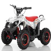 DS-ATV107