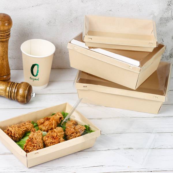 Safe Lock Lunch Box