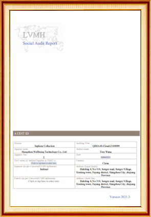 R-Cloud 2169099 --LVMH Social Audit Report