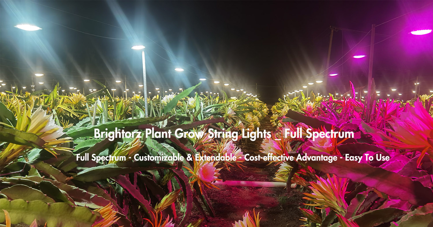 brightorz_plant led grow string lights
