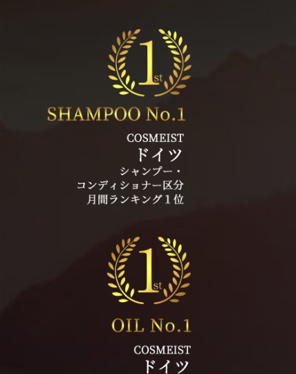 副总统