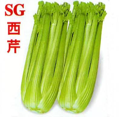 CE02 SG celery seeds