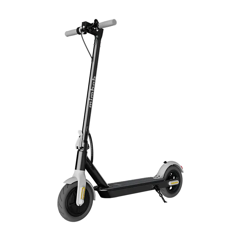 Electric Scooter J9