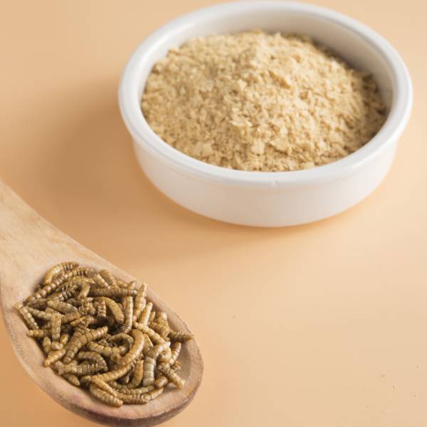 Freeze Dried Mealworm Powder