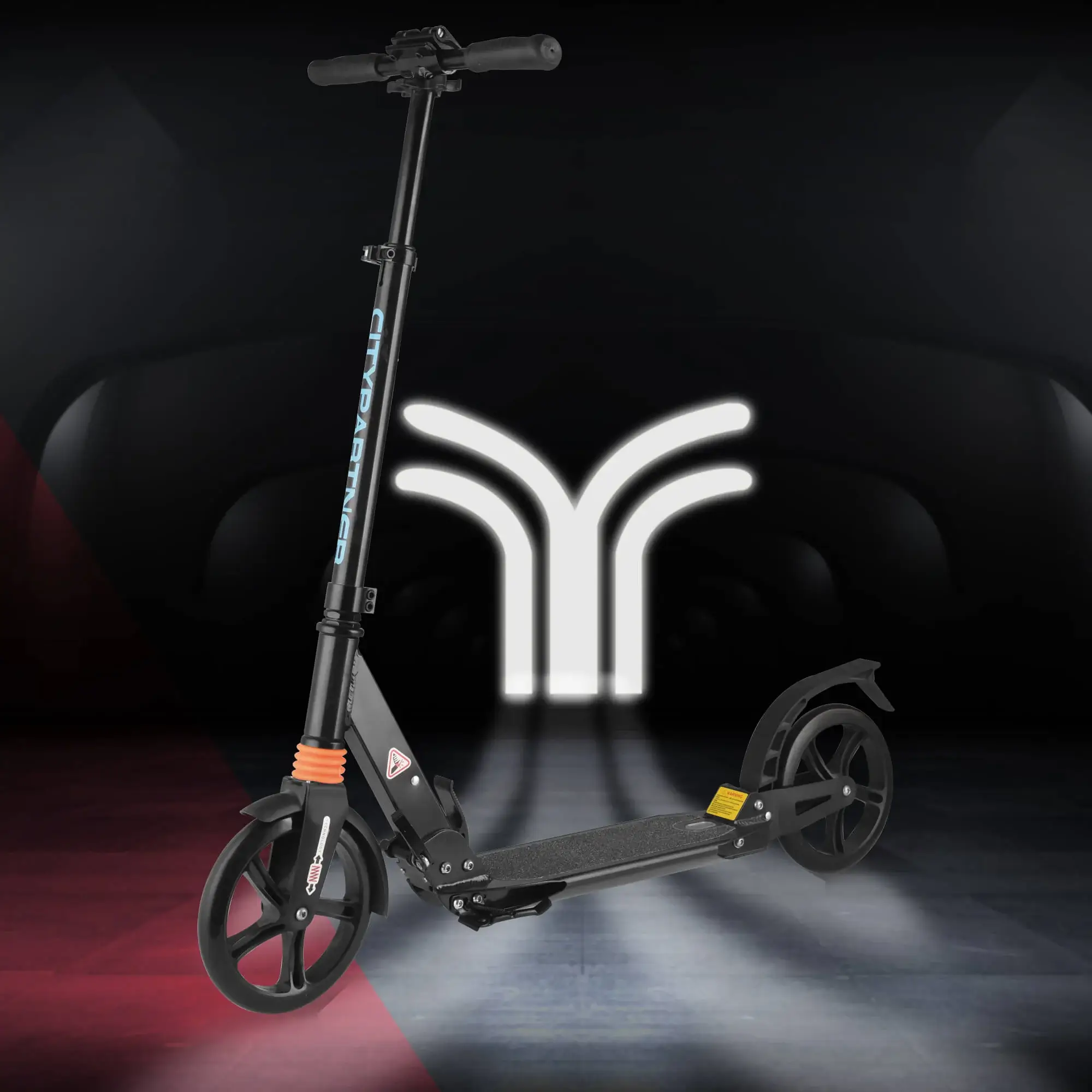 Adult scooter YT200PH