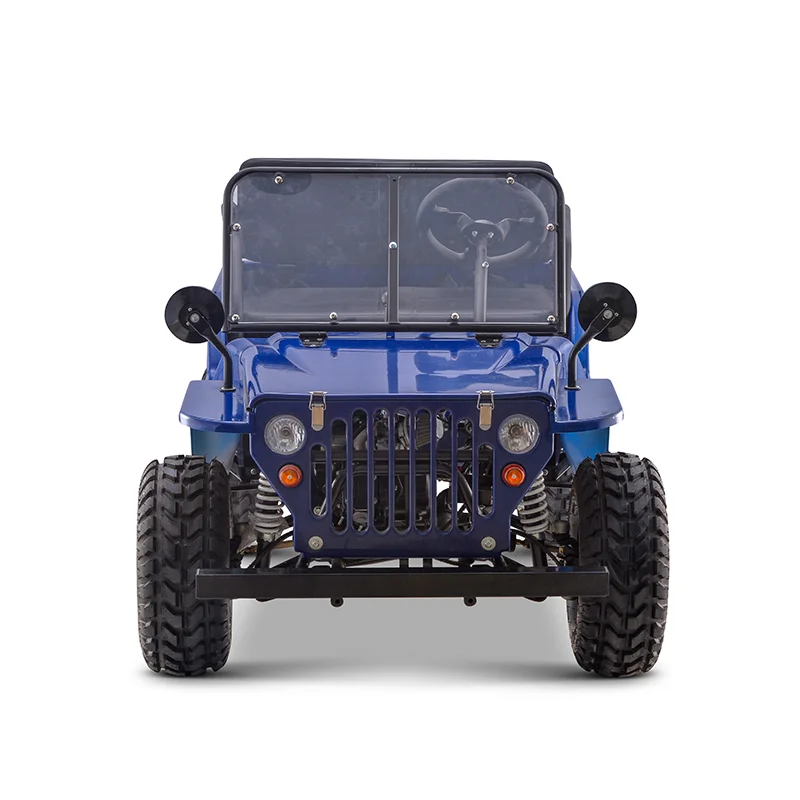 Terrain vehicle UTV TL-J125