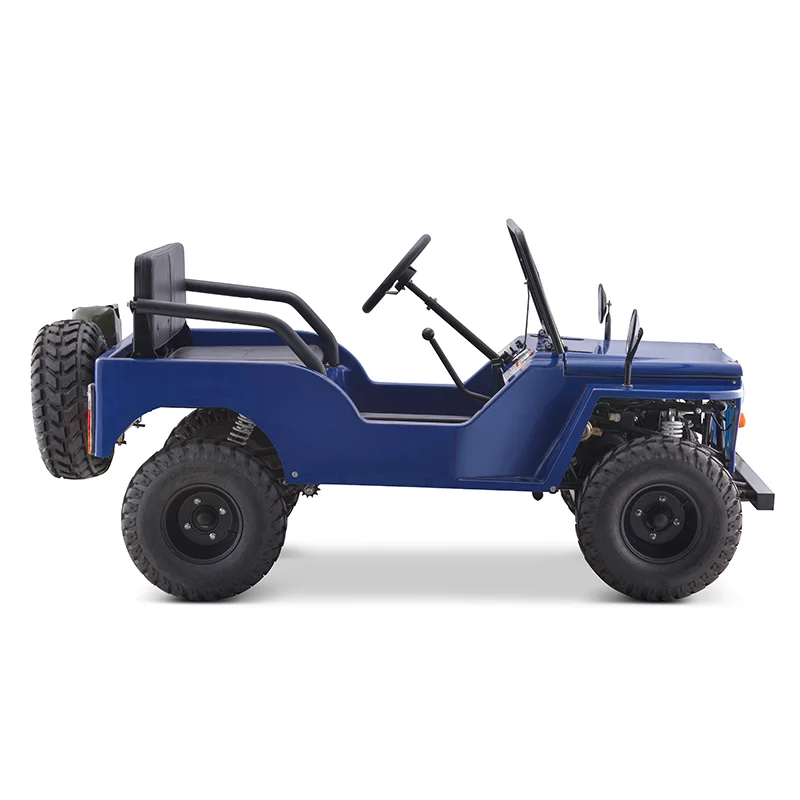 Terrain vehicle UTV TL-J125