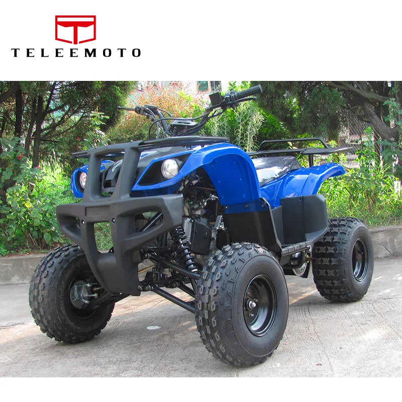 Terrain vehicle ATV TL-A02