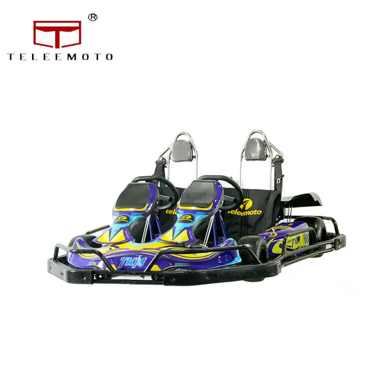 Race kart double karting