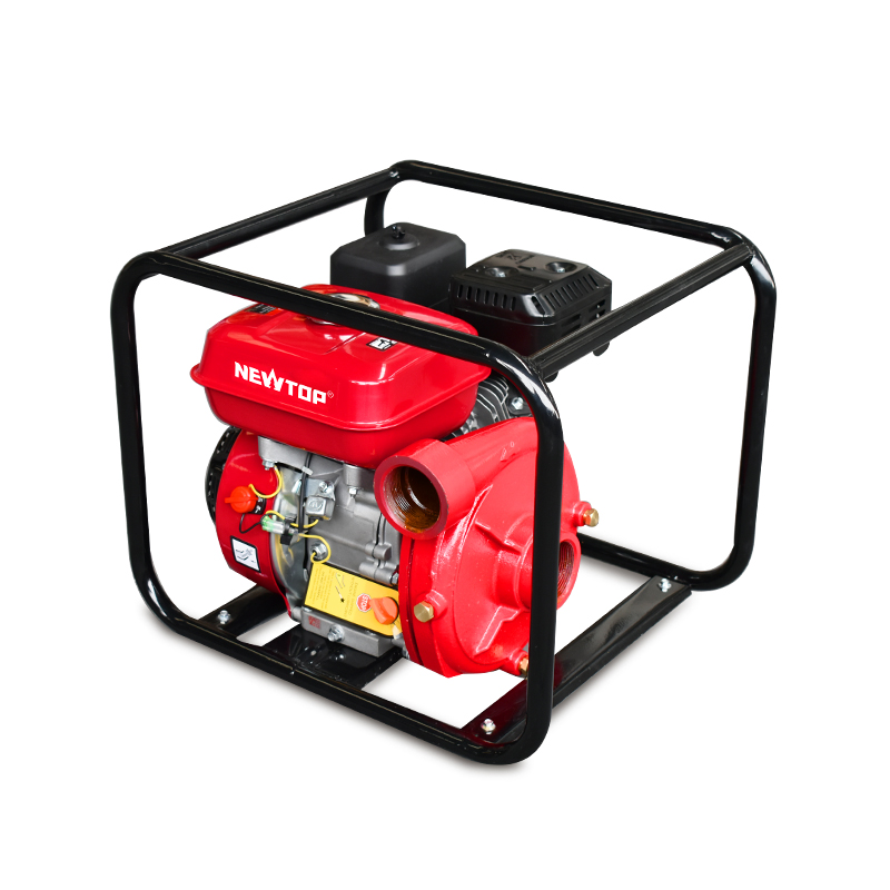 Water Pump NTWP30CI