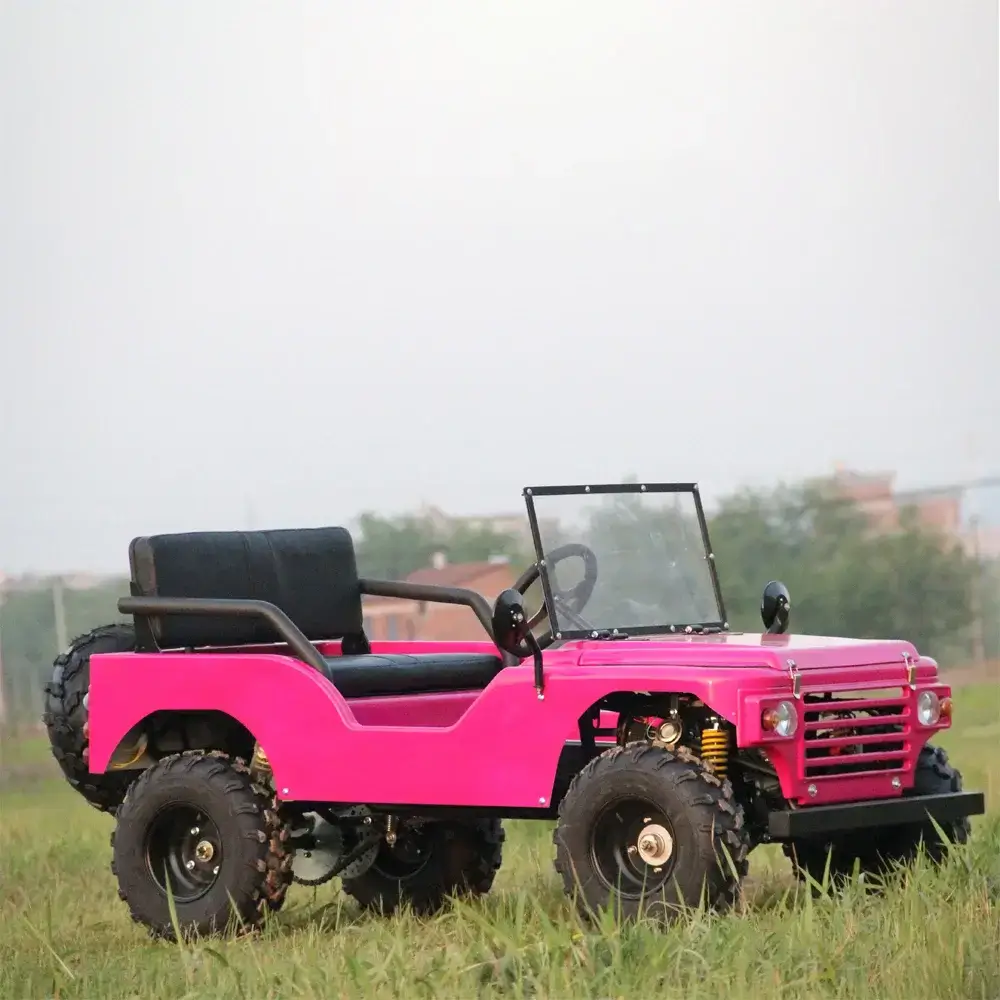 Terrain vehicle UTV TL-NJ150