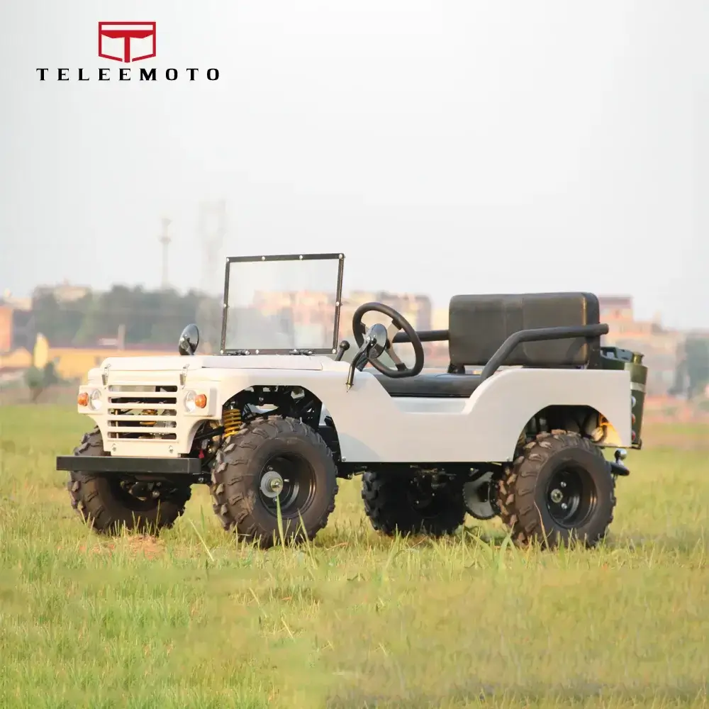 Terrain vehicle UTV TL-NJ150