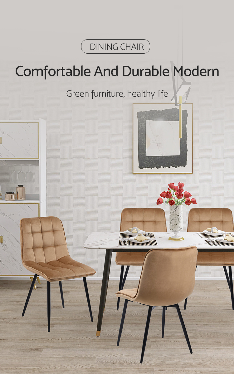 Environmentally Friendly Leather Dining Chair
