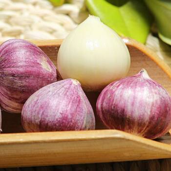 Purple garlic