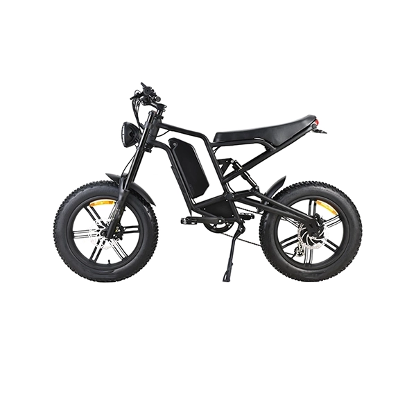 EBA216