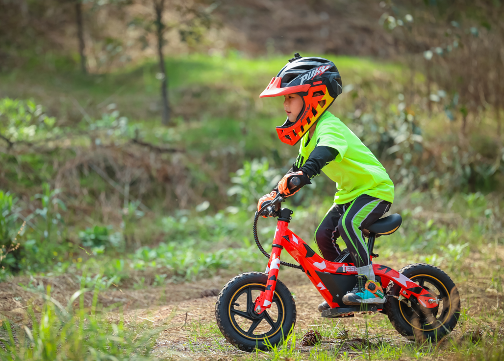 12inch electric balance bike