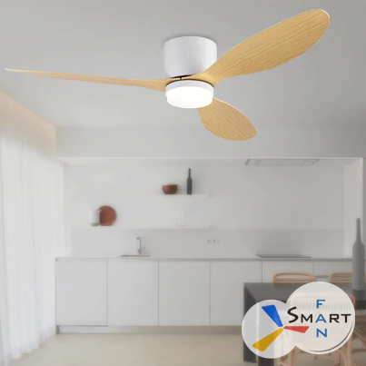 ceiling fan supplier