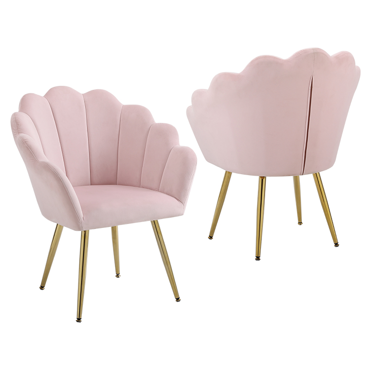 Pink Dining Chair and Leisure Chair