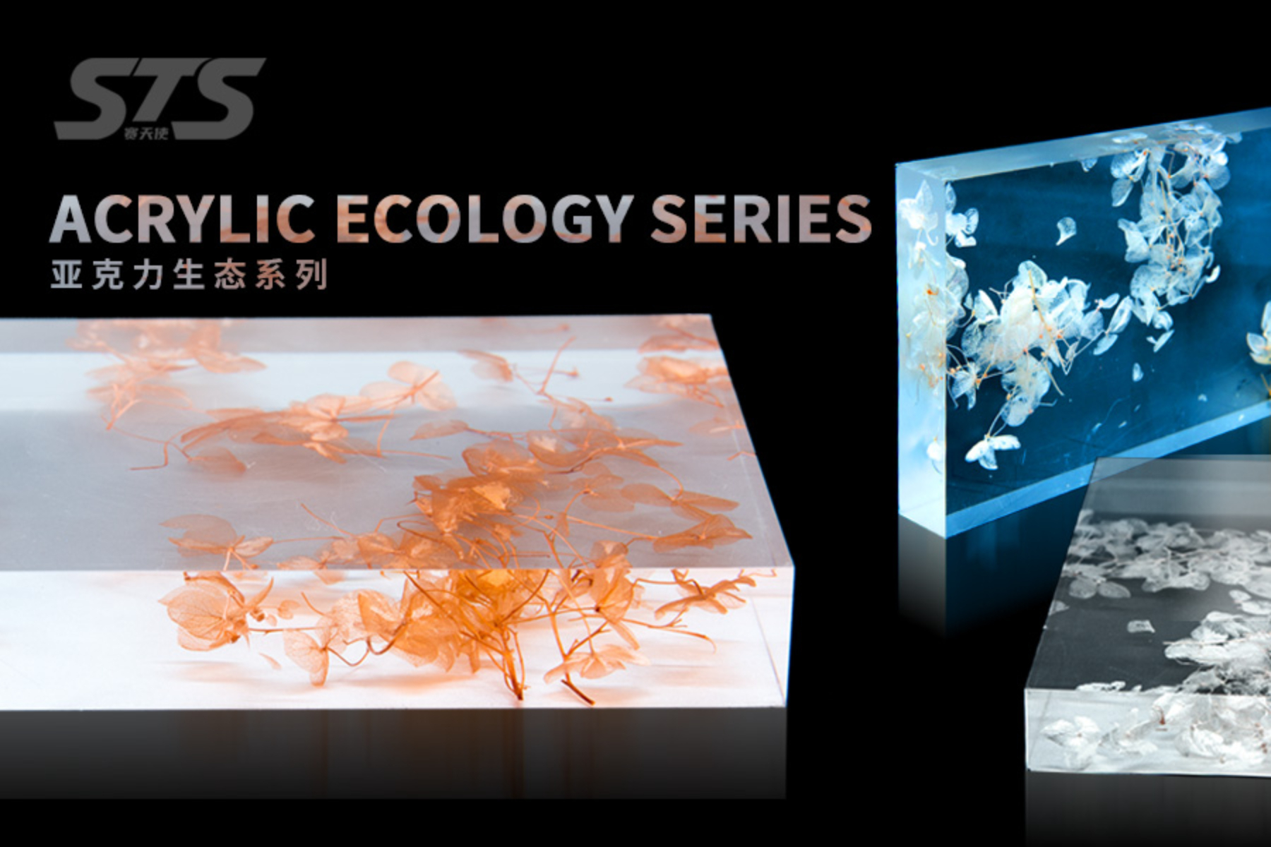 Acrylic Ecology Series