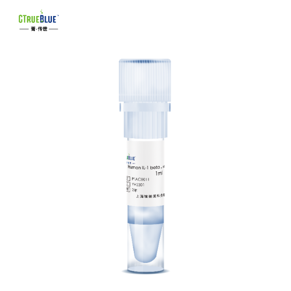 Human IL-1 beta,Recombinant