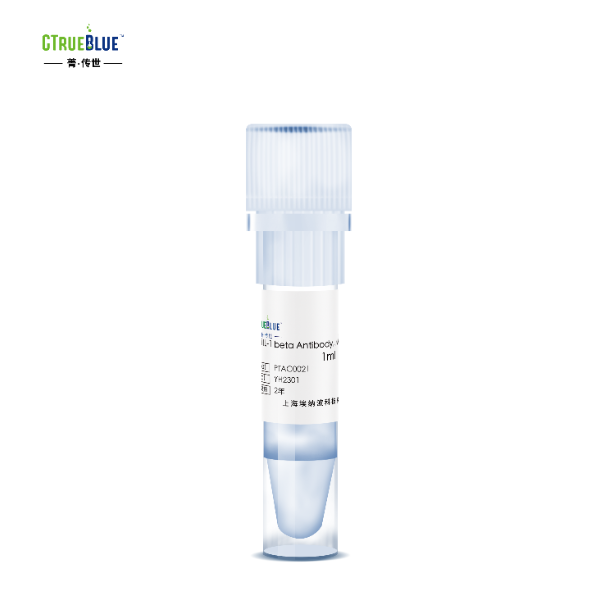 Anti IL-1 beta Antibody, Mouse Monoclonal