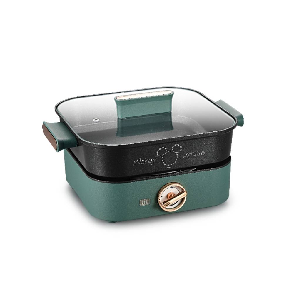 Electric hot pot  DN-1101