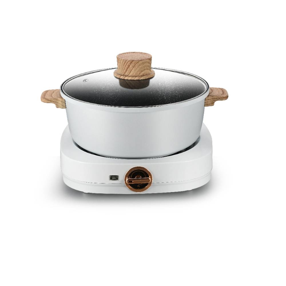 Electric hot pot DN-1102