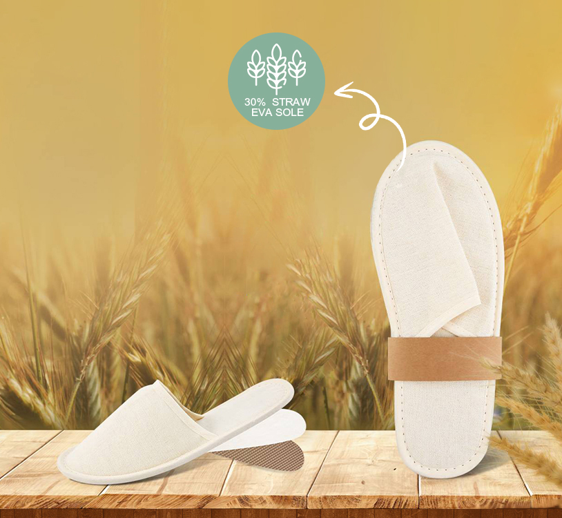 Eco slippers online