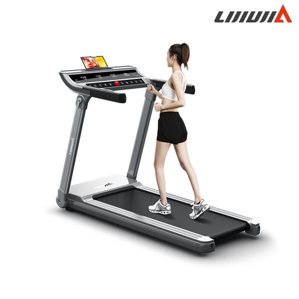 Modern Home Gym Treadmill